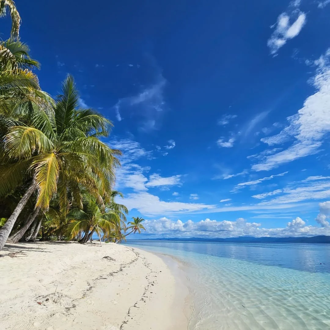 Pasadía en San Blas + Tour + Almuerzo y Bebida por $35  con An Nabba San Blas - Image 8